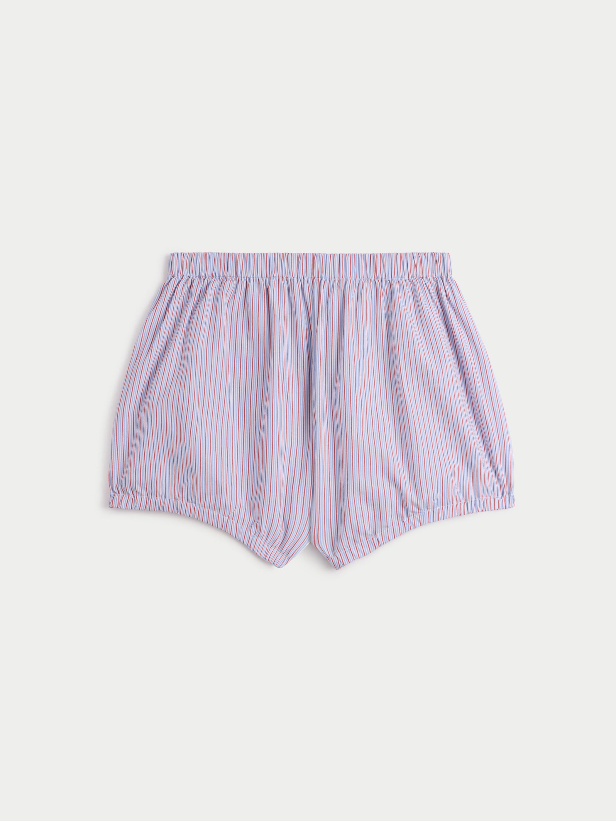 Chambray Poppy Stripe 
