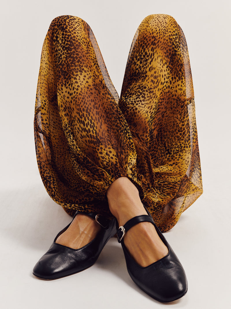 Leopard