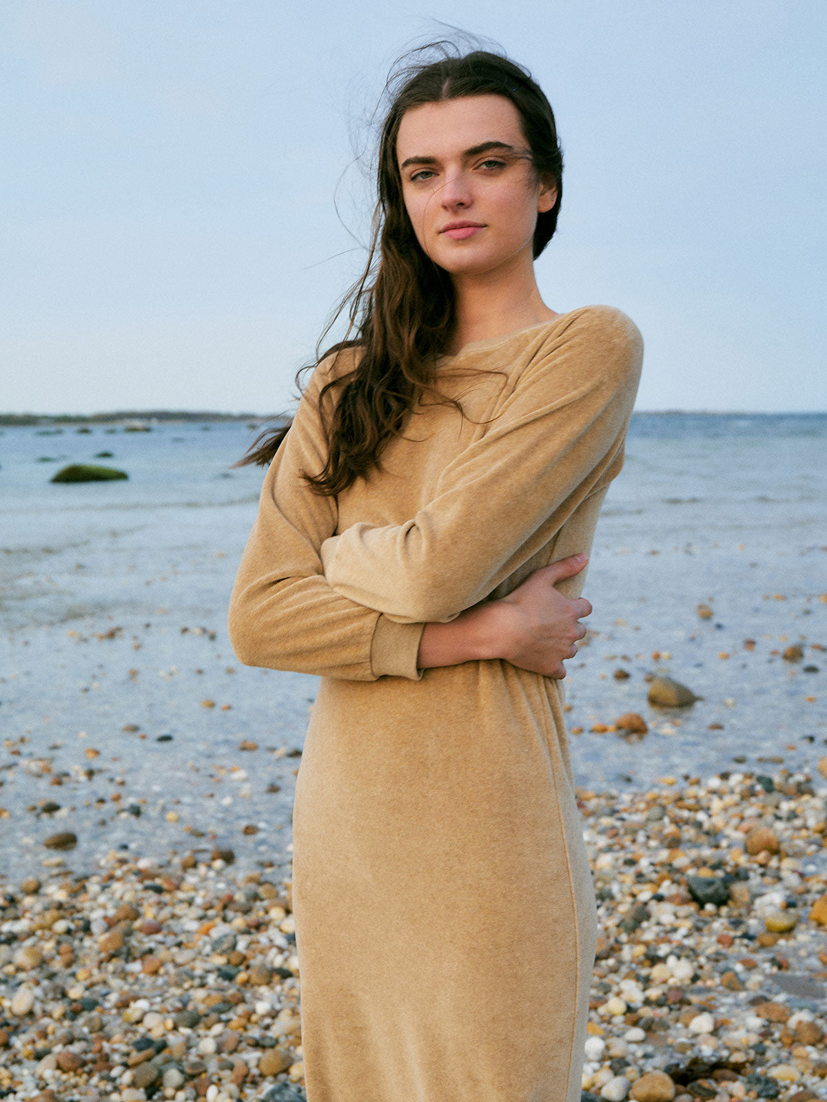 The Dideon Dress in Wheat Heather Velour