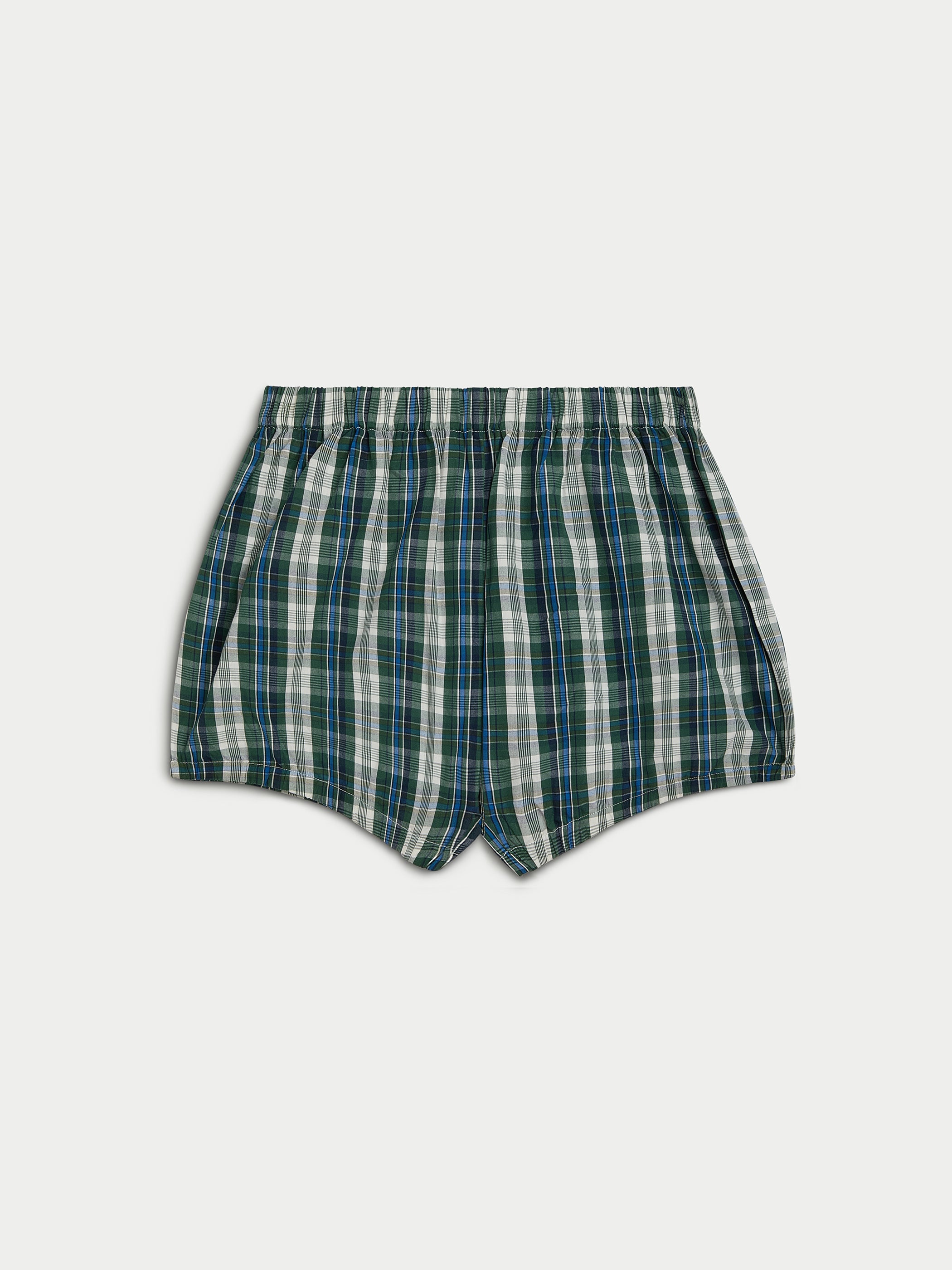 Ivy Multi 