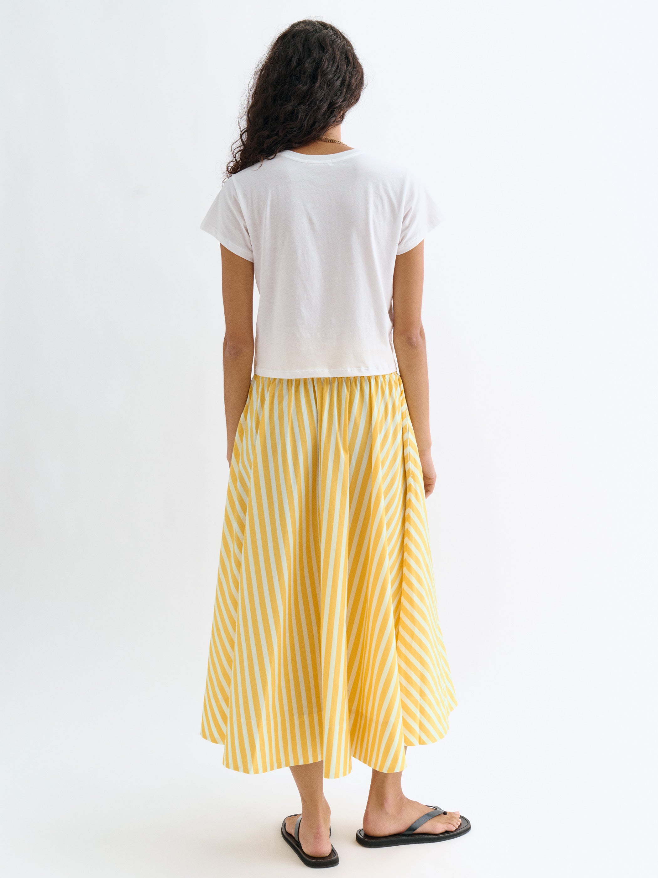 Wide Canary Stripe 