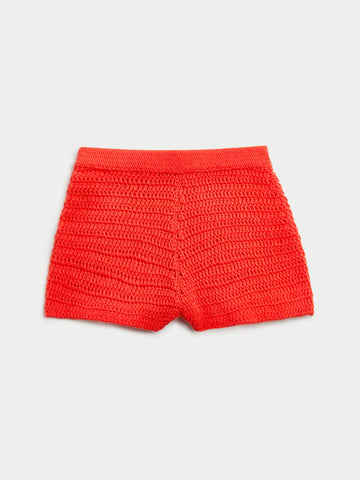 The Clio Shorts in Cashmere