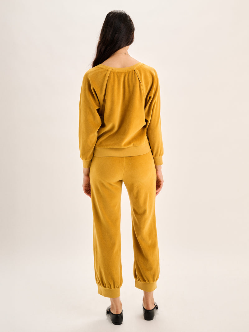 The Saba Raglan Top in Velour 