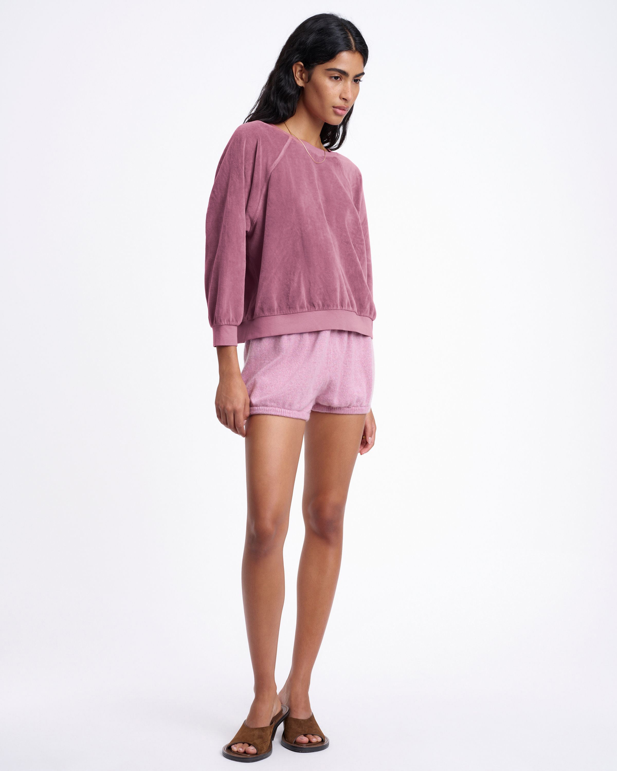 Desert Rose 