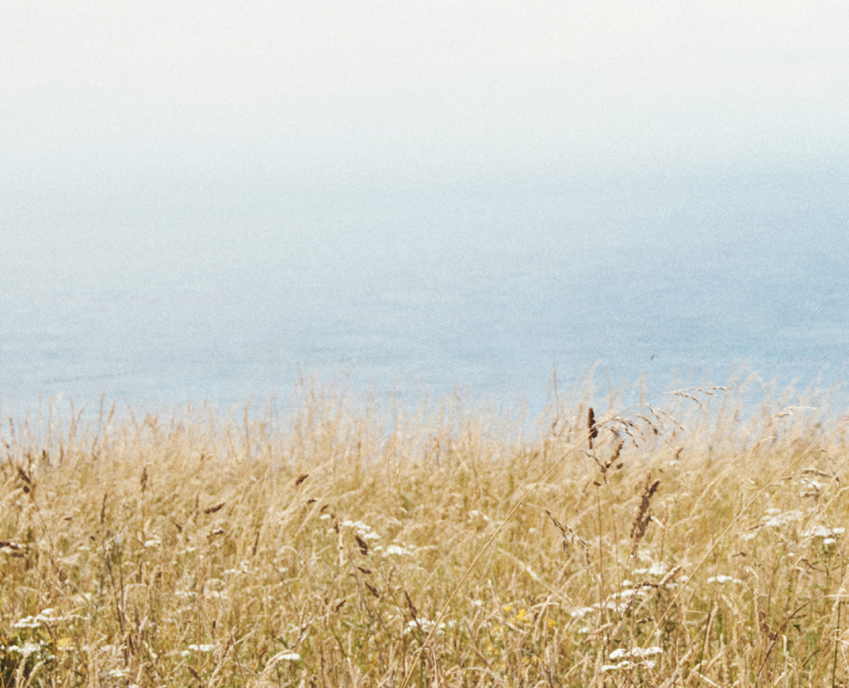 Overlay Banner Background