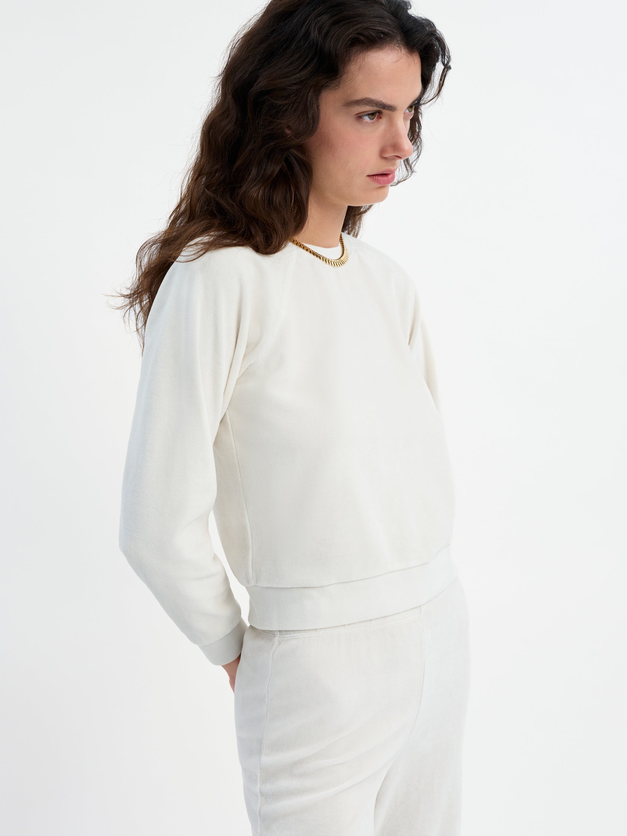 Ivory 