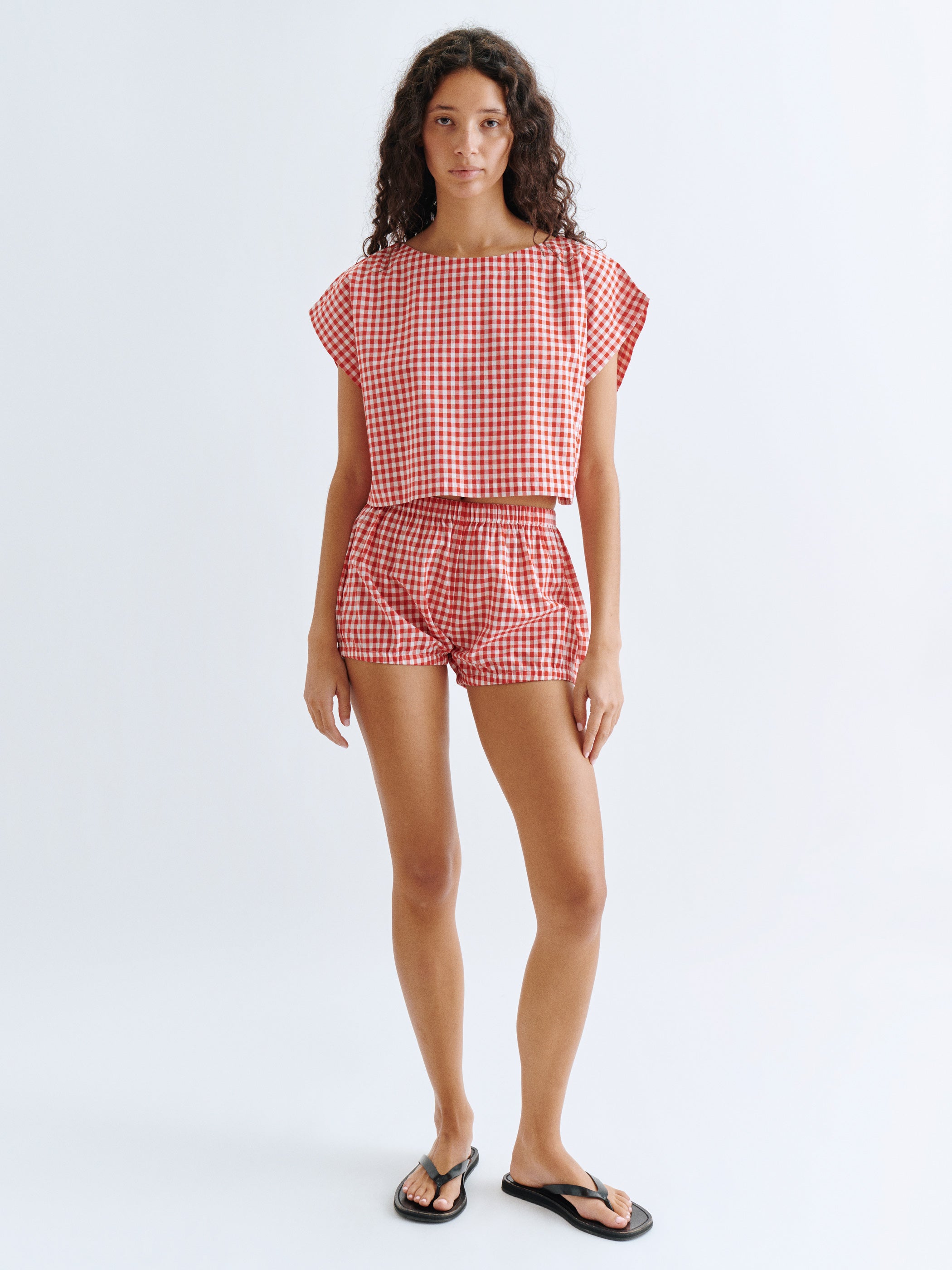 Small Cherry Gingham 