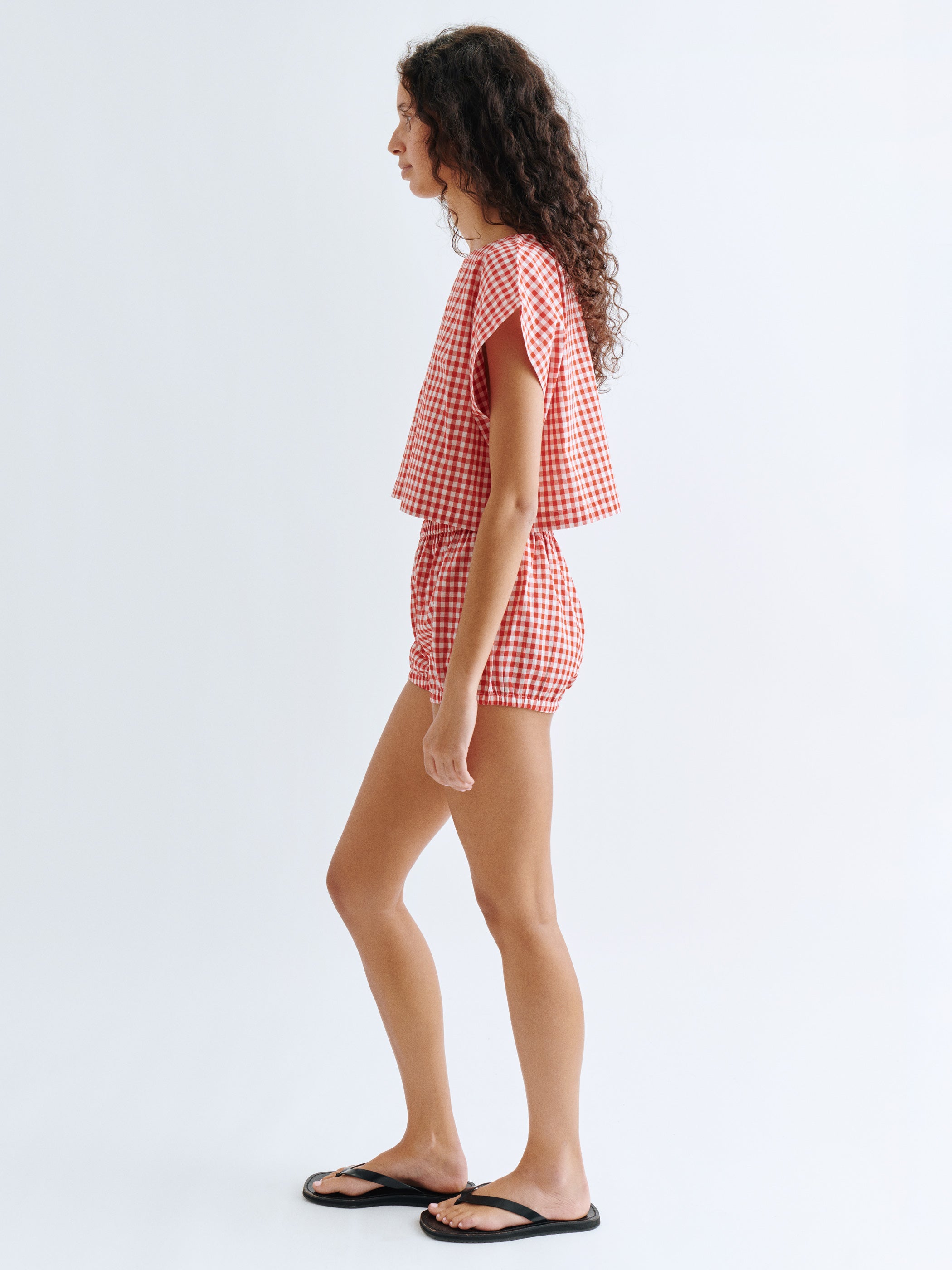 Small Cherry Gingham 