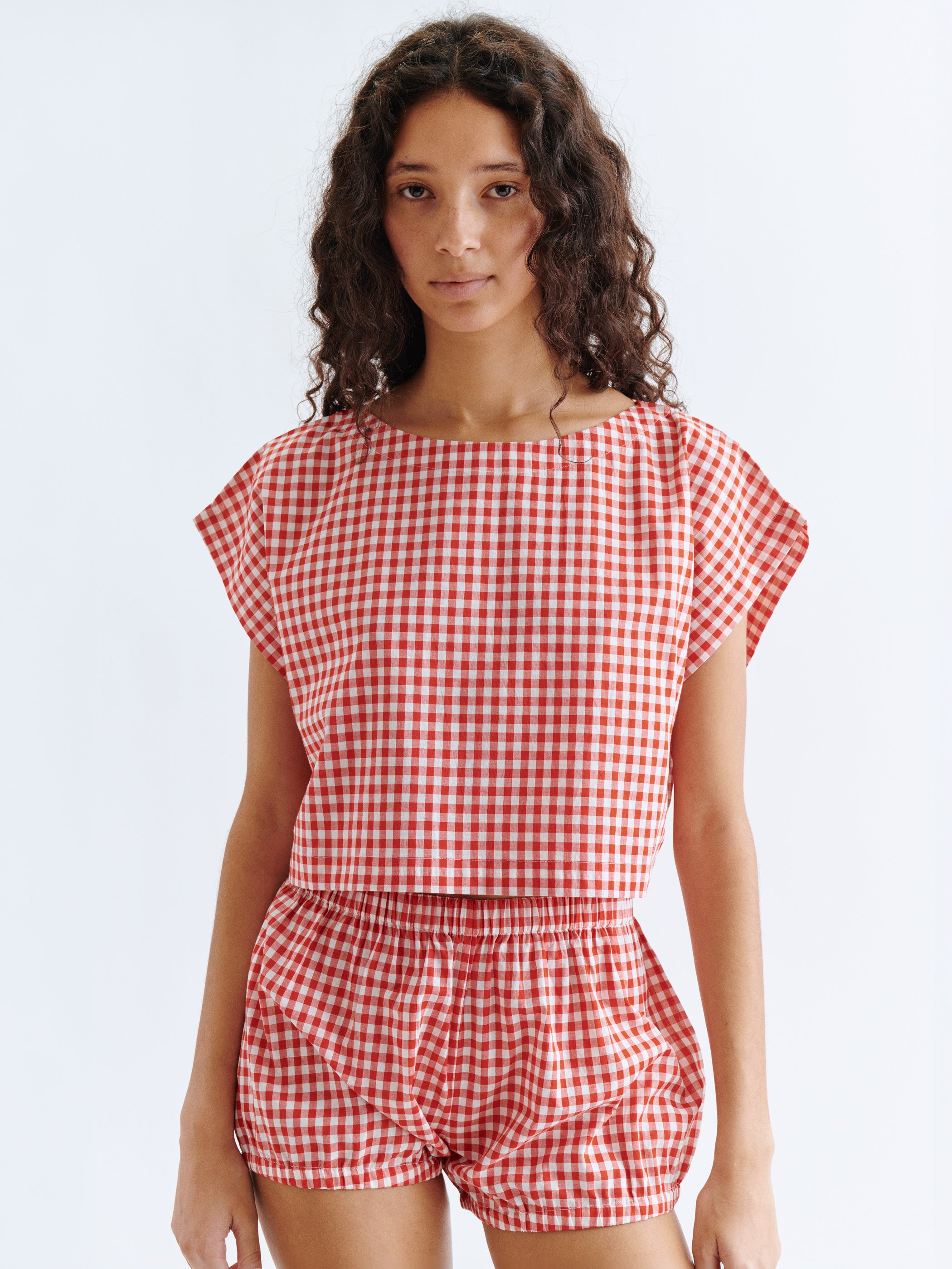 Small Cherry Gingham 
